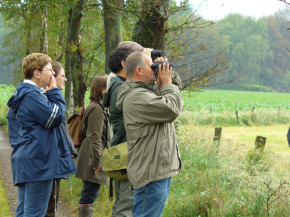 Excursie grauwe klauwier in het kader van het soortenproject.