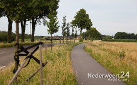 Schade door vernieling jonge aanplant aan de Ospelseweg Nederweert