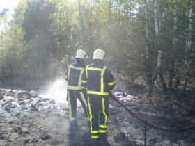 Brandweer bos peel blussen