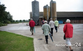 2013-09-14 Ell-Doet met Zonnebloem 898