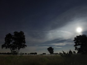 Volle Maan Wandeling