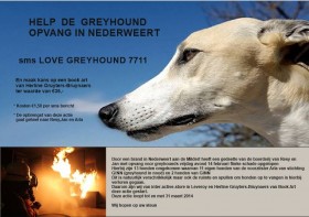 opvang voor Greyhounds