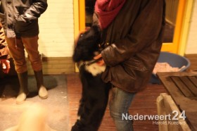 Hond onder de grond in bos Banendijk Nederweert Eind