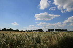 Buitengebied Nederweert