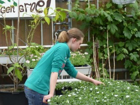 CITAVERDE College stimuleert groene vingers