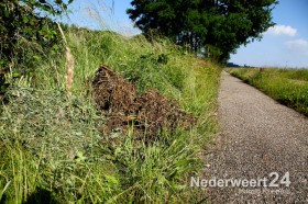 Hennepafval kanaal wessem nederweert