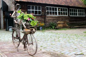 Tussen kunst en bloemen in Eynderhoof