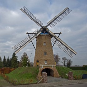 Ospelse molen Korenbloem