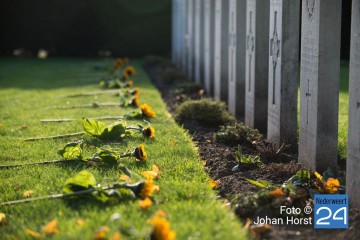 Nederweert Herdenking Britse begraafplaats  zonnebloemen