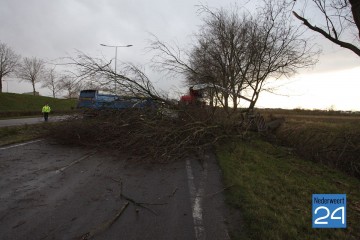 Boom op ringbaan Noord Weert