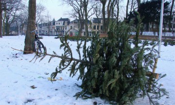 huis-aan-huis ophalen kerstboom