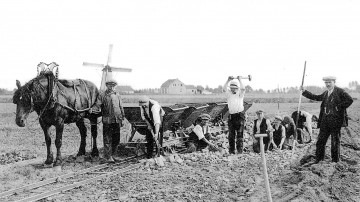 geschiedenis Weert