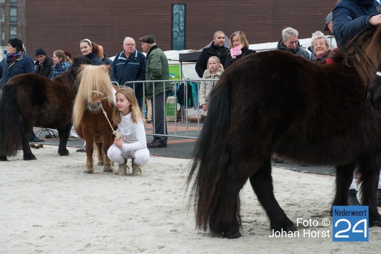 Paardenmarkt Weert