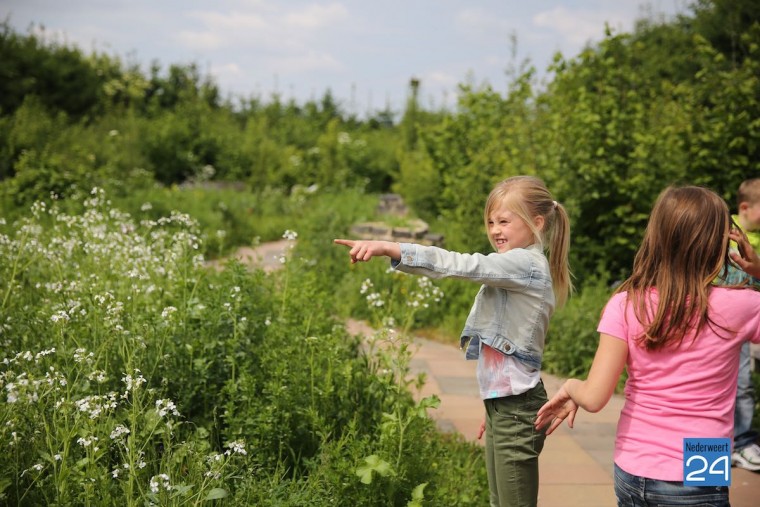 Kinderen Klimop naar Vlindertuin Bosserhof 3911