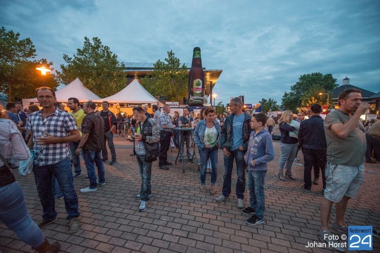 Foto publiek Raadpop 2015 5445