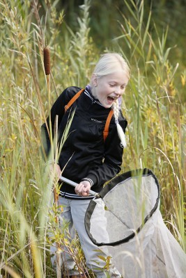 beestjes vangen