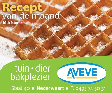 AVEVE_banner-360x300-Recept-november