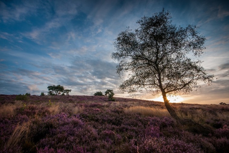 Persbericht Foto Landgoed de Hamert_J Linskens