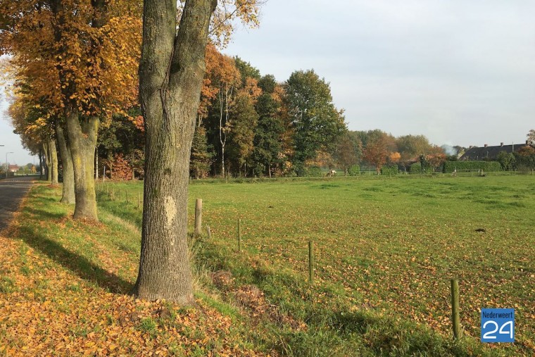 Rook Steutenweg Nederweert-Eind 6995