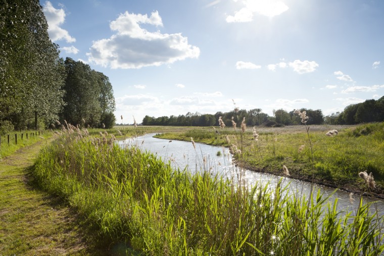 De Krang wordt in het noorden doorsneden door de Leukerbeek en in het zuiden door de Tungelroyse Beek. Het natuurgebied bestaat uit loof- en naaldbos, hakhout, grasland en oude bolle akkers. Door het verschil in hoogte en vochtigheid komen er veel verschillende soorten planten en dieren voor.  De Krang was vroeger een nat gebied. Op sommige plaatsen zijn door wegstuivend zand duizenden jaren geleden kommen in het dekzand ontstaan; hier vormden zich moerassige gebieden die door de plaatselijke bevolking werden gemeden.  Later werden deze veengebieden door egalisatie en ontwatering geschikt gemaakt voor de landbouw. De Roukespeel is een overblijfsel van zo’n voormalig moerasgebied. Er staat een vogelkijkscherm langs de wandelroute, waar u vaak dodaars en wintertaling kunt spotten. Door ontwateringssloten af te dammen wil Natuurmonumenten De Krang weer natter maken. Ook diverse poelen zorgen ervoor dat het water langer in het gebied blijft. In de poelen leven amfibieën als alpenwatersalamander en kamsalamander. Bij de Leukerbeek is een ven gerestaureerd waar nu riet, lisdodde, gele lis en egelskop groeien. In het noorden is een aantal vennen aangelegd waarvan onder andere de kwartelkoning profiteert.  In en rond De Krang vindt natuurontwikkeling plaats. Wanneer de humusrijke bovenlaag wordt afgegraven om schraal grasland te ontwikkelen, komen oude zaden bloot te liggen. Wellicht ontkiemen hier zeldzame orchideeën. Om in de natuurontwikkelingsgebieden een gevarieerde begroeiing te krijgen vindt er seizoensbegrazing plaats. (Bron: Natuurmonumenten)