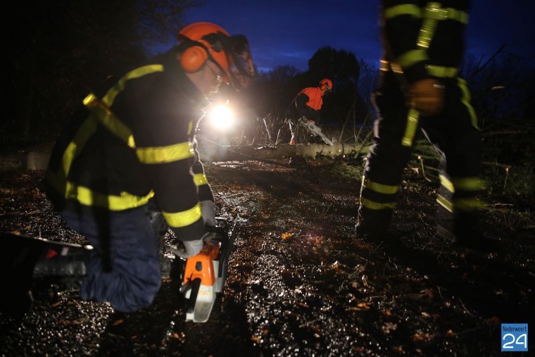 Boom op weg Leveroy 7296