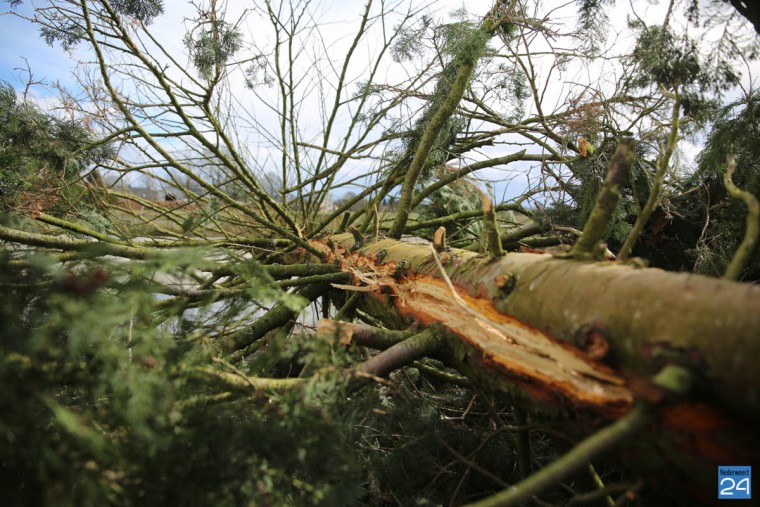 Blikseminslag Heerweg Nederweert-4