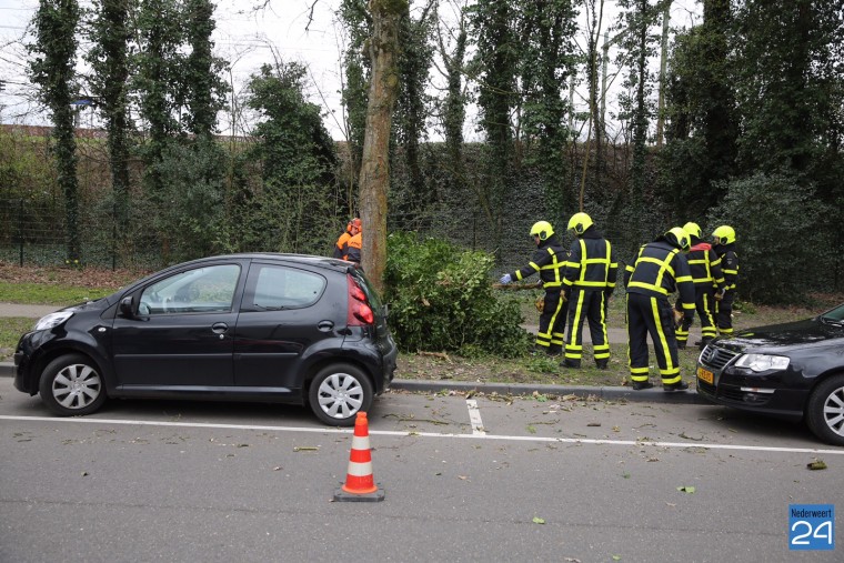 Boom omgewaaid St Maartenslaan (1)