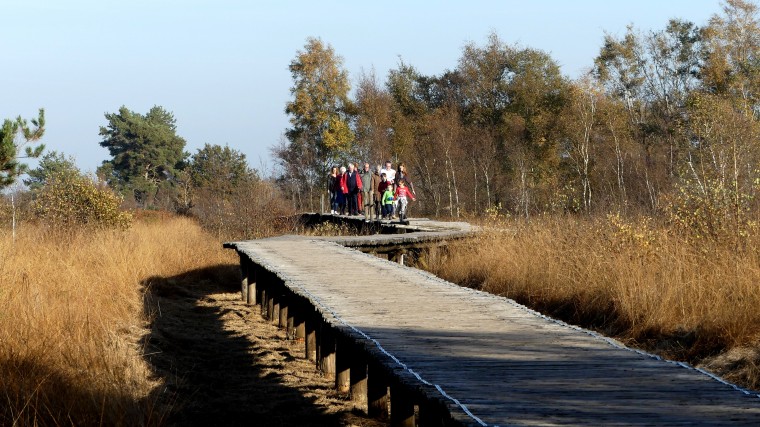 Knuppelbrug - Marijke Vaes