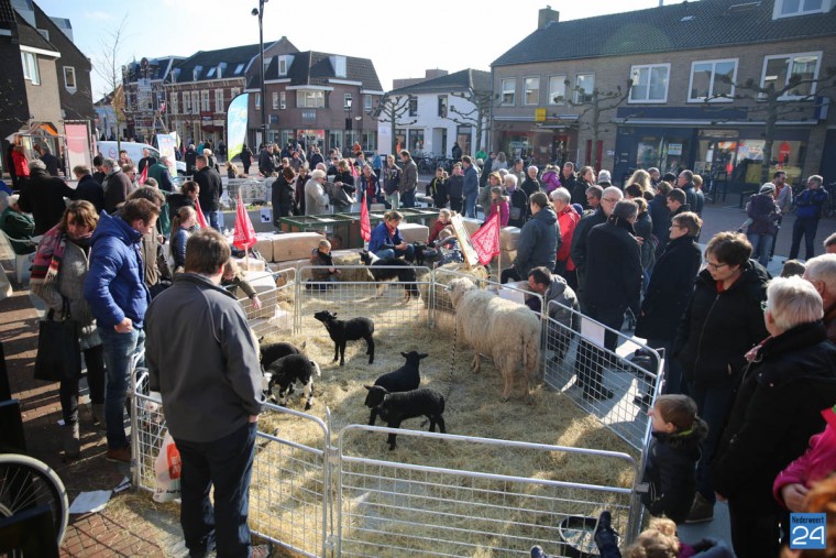 Koopzondag Nederweert 2016-43