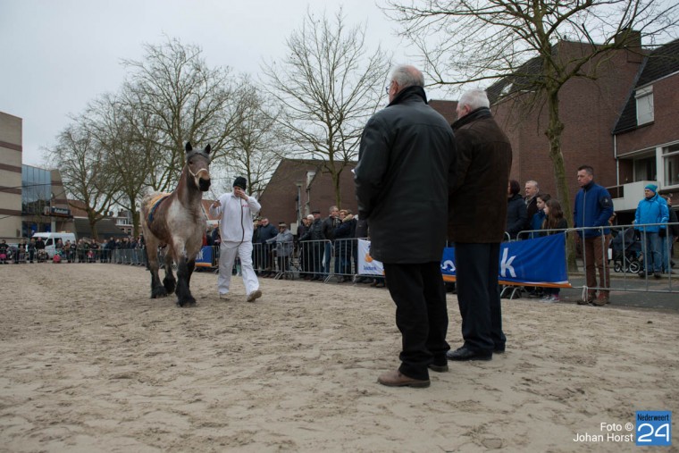 Paardenmarkt Weert 2016 - Johan Horst-3