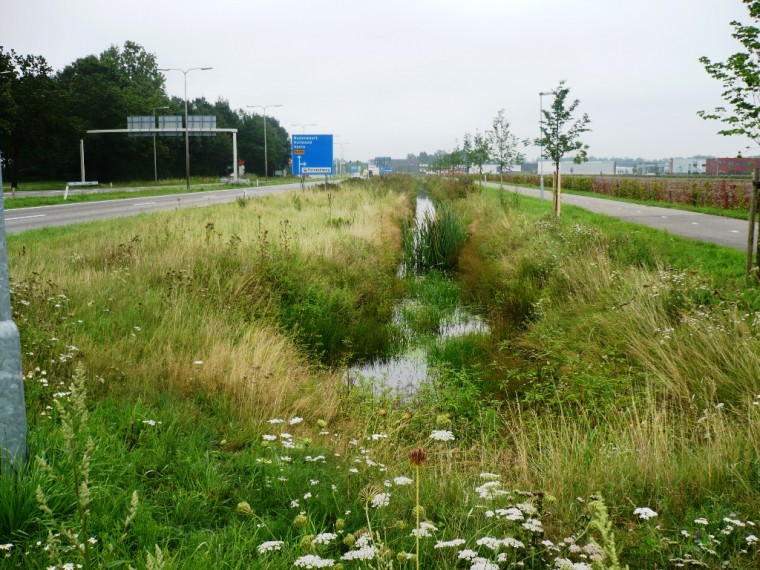 Rosveldlossing Waterschap