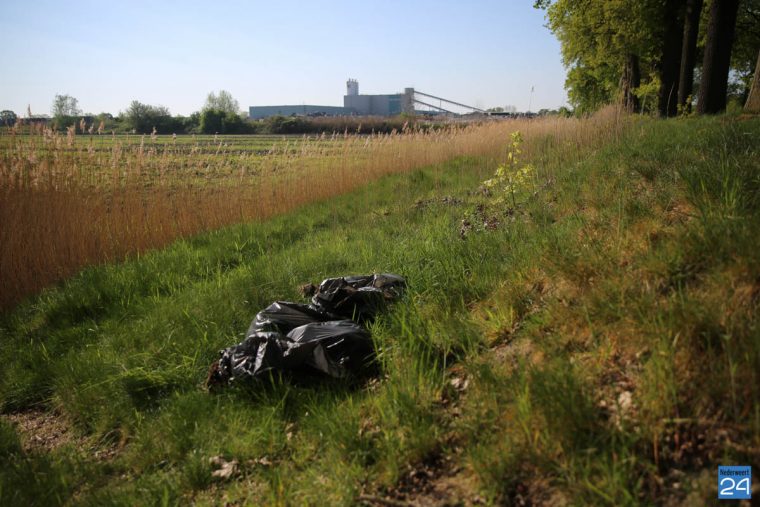 Hennep bij Kanaaldijk Nederweert-5158