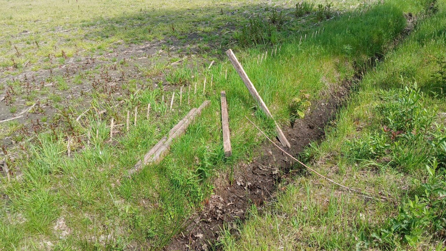 Gevonden Voorwerpen Wat Doen We Met Rotte Palen Van De Oude Schutting