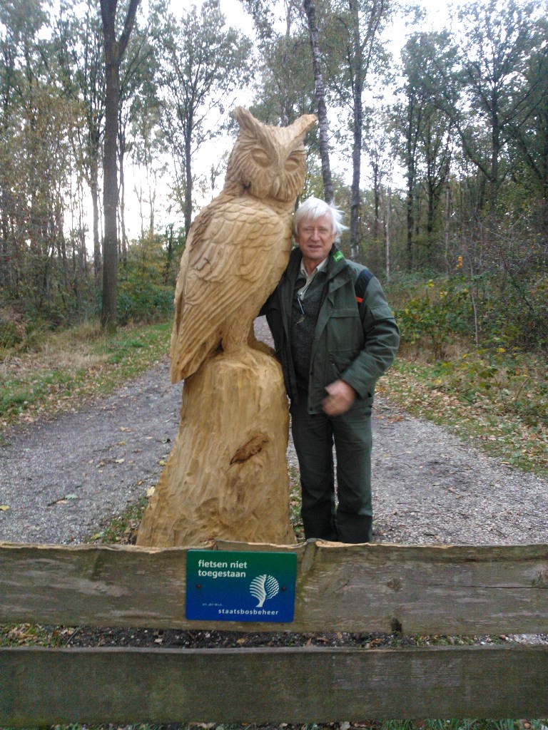 Grote houten uil geplaatst bij De Groote Peel Nederweert24