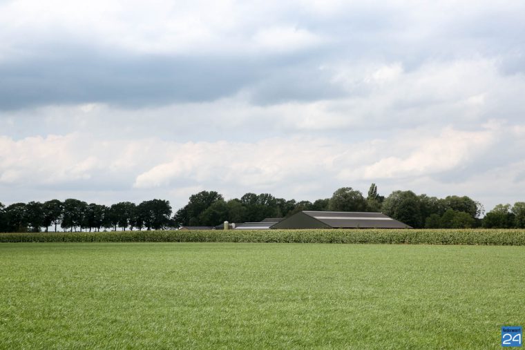 Buitengebied Nederweert