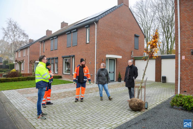 Bomen groenbeleidsplan uitgedeeld