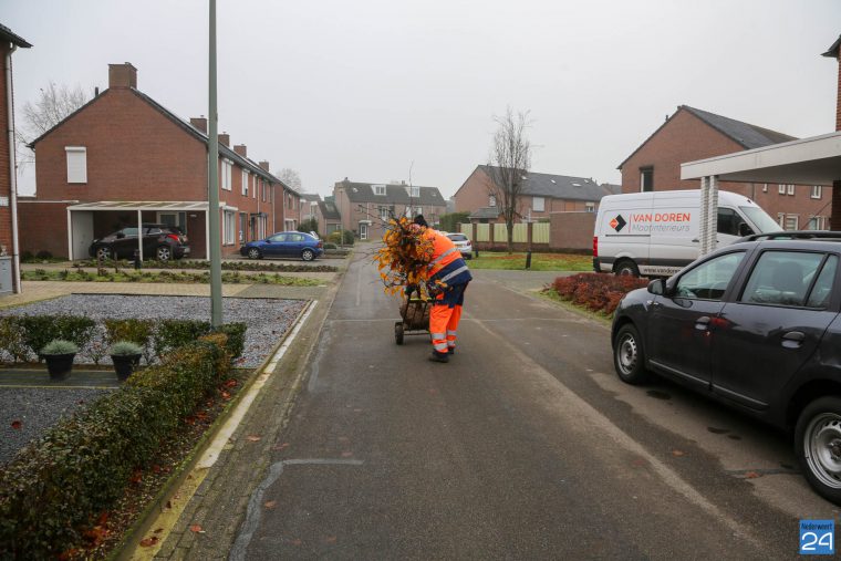 Bomen groenbeleidsplan uitgedeeld