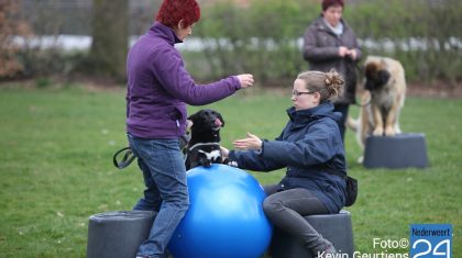 12opendag-hondenschool-DVS