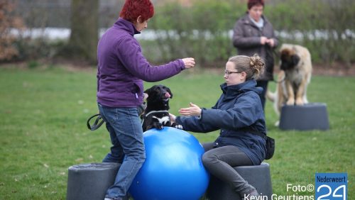 12opendag-hondenschool-DVS