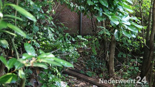 Vrijdagmiddag is achter een verwaarloosde woning aan de Prinses Beatrixstraat in Stramproy een klein brandje geweest.