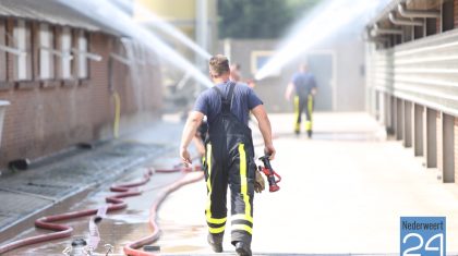 2015-07-02-Heideweg-12-Kelpen-Oler