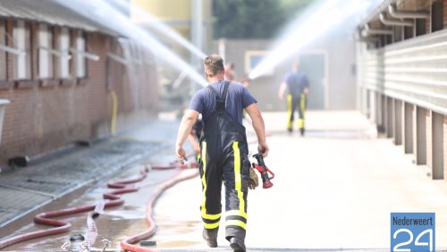 2015-07-02-Heideweg-12-Kelpen-Oler