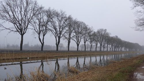 28e-Wandeltocht-het-Kruis-in-Nederweert-Eind