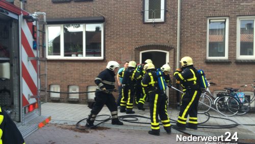 3brand-weert