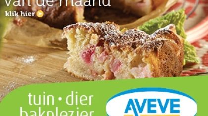 AVEVE_banner-360x300-Recept-2