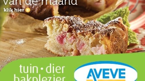 AVEVE_banner-360x300-Recept-2