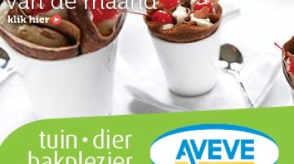 AVEVE_banner-360x300-Recept-december