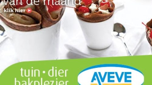 AVEVE_banner-360x300-Recept-december