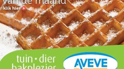 AVEVE_banner-360x300-Recept-november