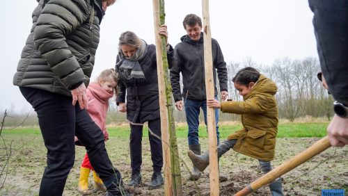 Aanplanten-Roburbos-Weerterbos-19